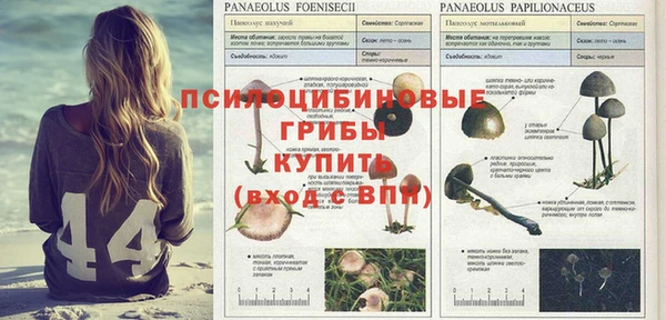 дистиллят марихуана Алексеевка