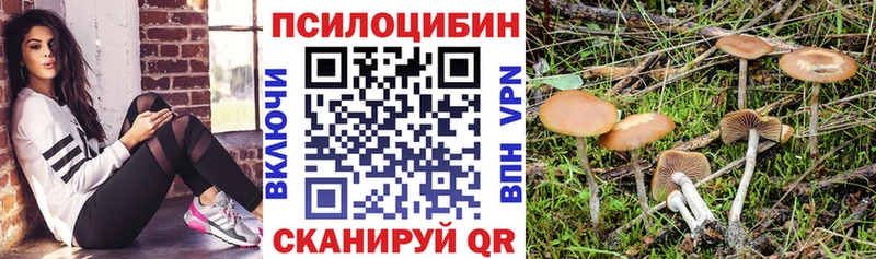 Псилоцибиновые грибы ЛСД Навашино